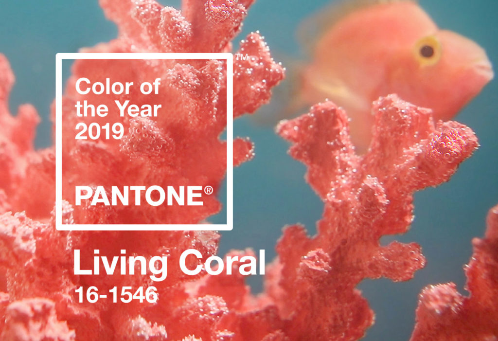 Living Coral: a cor do ano 2019 eleita pela Pantone